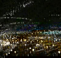 National Anzac Centre Field of Light Panorama Pass - 2032 Olympic Games