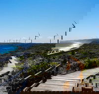 Torndirrup National Park and Bay Highlights - 2032 Olympic Games