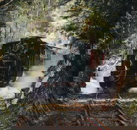 West Coast Wilderness Railway River and Rainforest from Strahan - 2032 Olympic Games