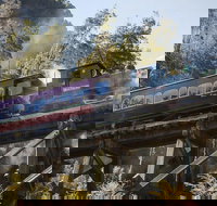 West Coast Wilderness Railway Queenstown Explorer from Strahan - 2032 Olympic Games