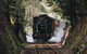 West Coast Wilderness Railway: Queenstown Explorer From Strahan - thumb 4