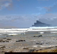 Private Bruny Island Nature Day Trip from Hobart - 2032 Olympic Games