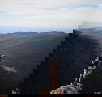 Mount Field National Park - Tarn Shelf  Russell Falls - Guided Hiking Tour - 2032 Olympic Games