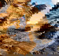 3-Day Hobart Nature Walking Tour Maria Island Cape Raoul  Mount Field - 2032 Olympic Games