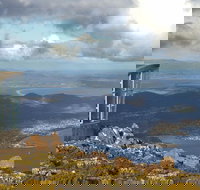 Half-Day Mt Wellington Summit Tour from Hobart - 2032 Olympic Games