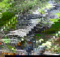 Mt Field National Park and Russell Falls from Hobart - 2032 Olympic Games