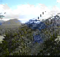 Huon Valley and Tahune Forest Airwalk Tour from Hobart - 2032 Olympic Games