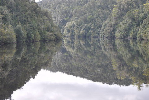 Gordon River Cruise Departing From Strahan - 2032 Olympic Games 17