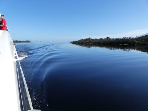 Gordon River Cruise Departing From Strahan - 2032 Olympic Games 3
