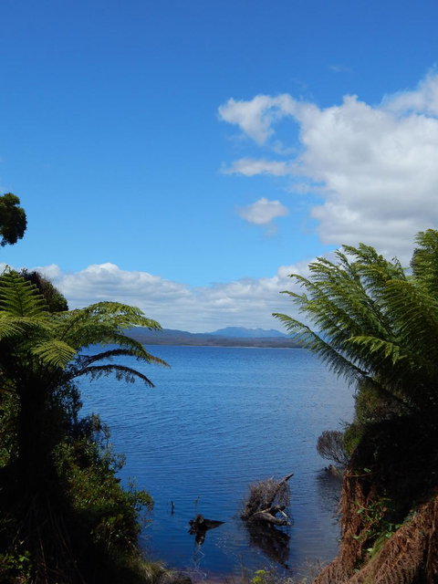 Gordon River Cruise Departing From Strahan - 2032 Olympic Games 20