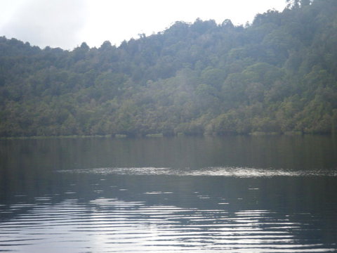 Gordon River Cruise Departing From Strahan - 2032 Olympic Games 23