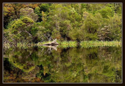 Gordon River Cruise Departing From Strahan - 2032 Olympic Games 12
