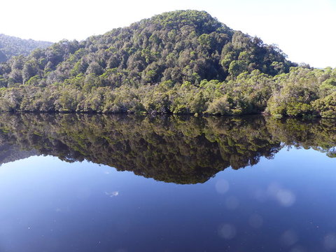 Gordon River Cruise Departing From Strahan - 2032 Olympic Games 4