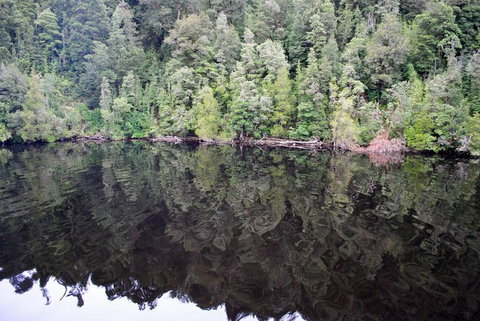 Gordon River Cruise Departing From Strahan - 2032 Olympic Games 24