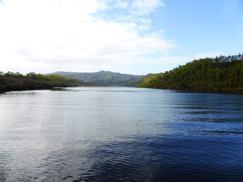 Gordon River Cruise Departing From Strahan - 2032 Olympic Games 10
