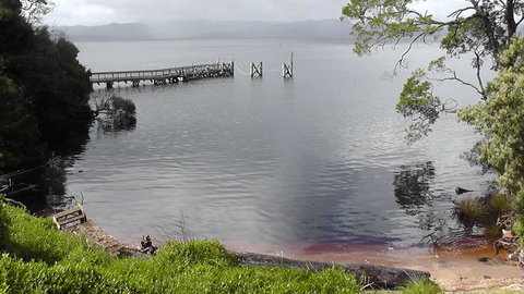 Gordon River Cruise Departing From Strahan - 2032 Olympic Games 22
