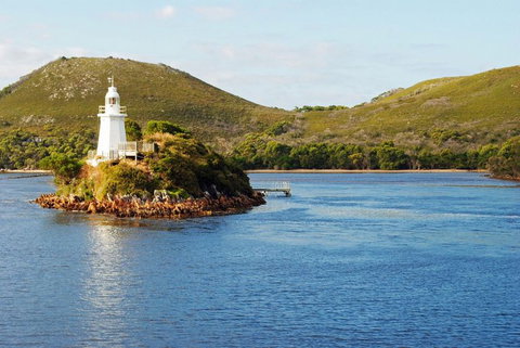 Gordon River Cruise Departing From Strahan - 2032 Olympic Games 25