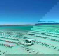 Coffin Bay Private Day Tour from Port Lincoln - A Taste of Coffin Bay - 2032 Olympic Games