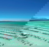 Coffin Bay Day Tour - A Taste of Coffin Bay - 2032 Olympic Games