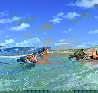 Horse Swimming Ride from Rainbow Beach - 2032 Olympic Games