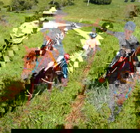 Country Day Ride from Mt Goomboorian with Rainbow Beach Horse Rides - 2032 Olympic Games