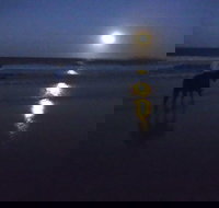 Full Moon Horse Ride at Rainbow Beach - 2032 Olympic Games