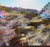 Kings Canyon Day Trip from Ayers Rock - 2032 Olympic Games