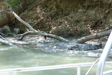 Kakadu Full-Day Tour From Darwin With Lunch - 2032 Olympic Games 2