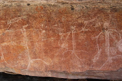 Kakadu Full-Day Tour From Darwin With Lunch - 2032 Olympic Games 1