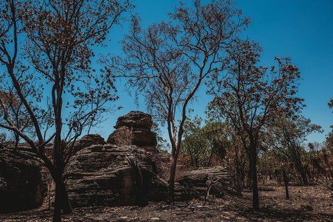 Kakadu Full-Day Tour From Darwin With Lunch - 2032 Olympic Games 6