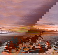 Darwin Harbour Sunset Cruise with Optional Buffet Dinner - 2032 Olympic Games