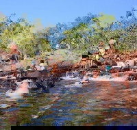 Litchfield and Jumping Crocodiles Full Day Trip from Darwin - 2032 Olympic Games
