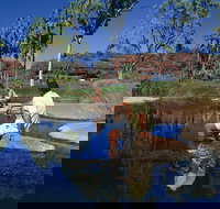 Palm Valley 4WD Tour - 2032 Olympic Games