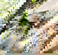 Small-Group Litchfield National Park Day Trip from Darwin - 2032 Olympic Games