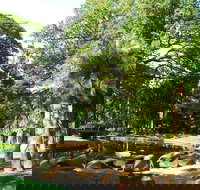 Darwin Afternoon Sightseeing Tour - 2032 Olympic Games