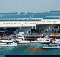 Darwin Harbour Bombing of Darwin Cruise - 2032 Olympic Games