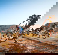 Alice Springs Outback Cycling Tours - 2032 Olympic Games