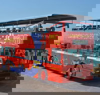 Darwin Hop-on Hop-off Bus Tour - 2032 Olympic Games