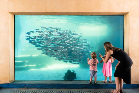 AQWA The Aquarium Of Western Australia - 2032 Olympic Games 0
