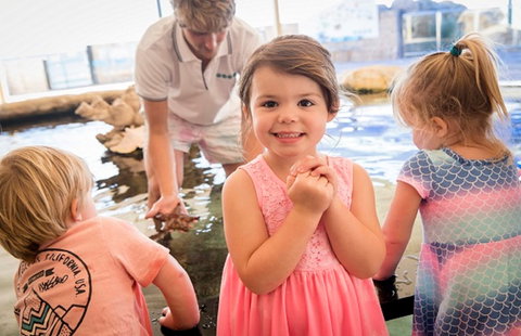 AQWA The Aquarium Of Western Australia - 2032 Olympic Games 2