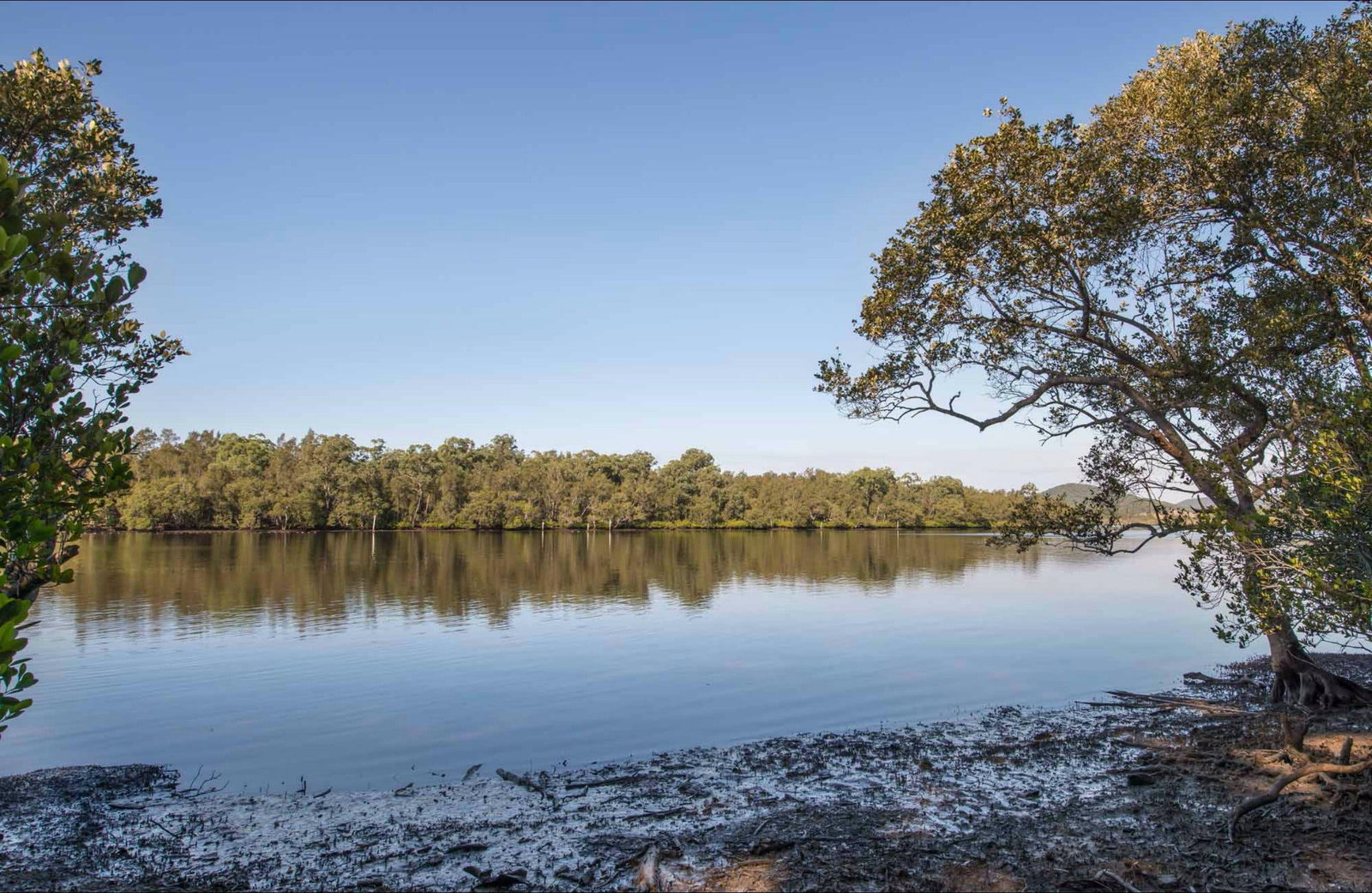 Limeburners Creek NSW 2032 Olympic Games