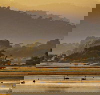 Greens Beach - 2032 Olympic Games