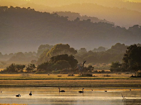 Greens Beach - 2032 Olympic Games 0