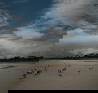 Hardwicke Bay - 2032 Olympic Games