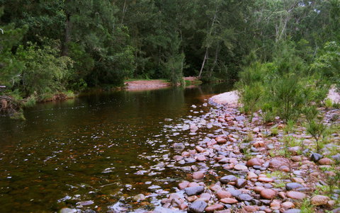 Kayaking Upper Tuross River And Bumbo Lake - 2032 Olympic Games 1