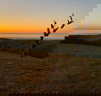 Lessismore Farm Afternoon Farmer - 2032 Olympic Games