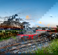 Mary Valley Rattler - 2032 Olympic Games