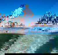 Monkey Mia - 2032 Olympic Games