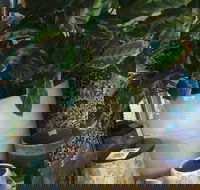 Noreen's Seaside Shop - 2032 Olympic Games