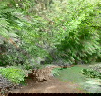 Pirianda Gardens - 2032 Olympic Games